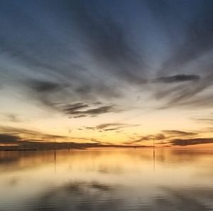 Meet your Posher, Susan cates